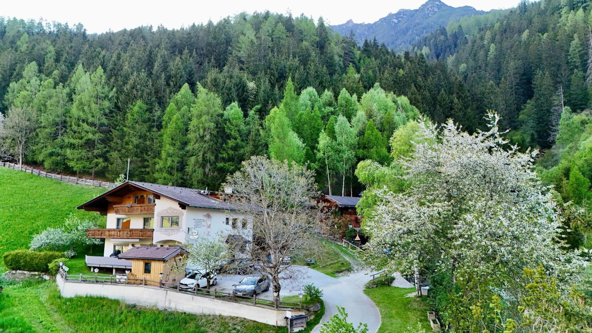 Pension Riese Neustift im Stubaital Exterior foto